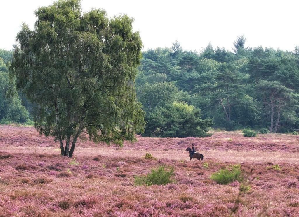 B&B De Sfeerhoeve Beilen エクステリア 写真