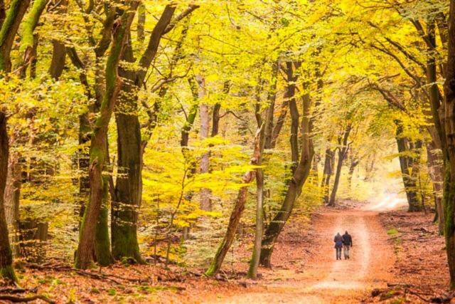 B&B De Sfeerhoeve Beilen エクステリア 写真