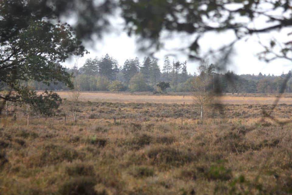 B&B De Sfeerhoeve Beilen エクステリア 写真